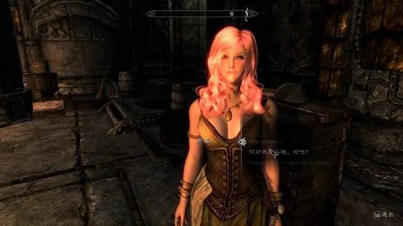 上古卷轴5强制结婚代码是什么 强制结婚教程