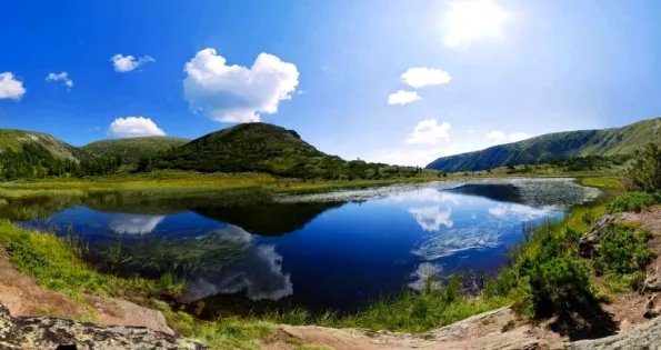 “花无百日红”的下一句是什么?