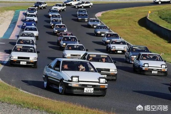 全球最大b站影库