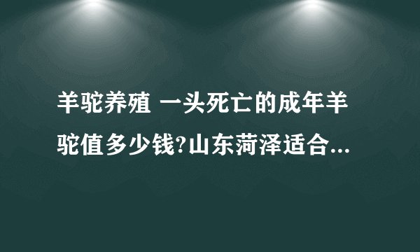 羊驼养殖 一头死亡的成年羊驼值多少钱?山东菏泽适合养殖吗？ 先在此谢过