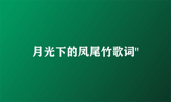 月光下的凤尾竹歌词