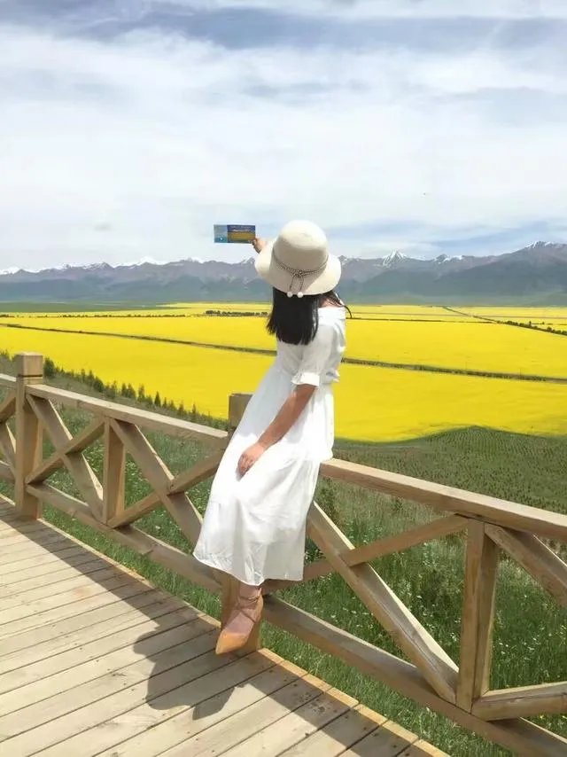 青海门源你去过吗？