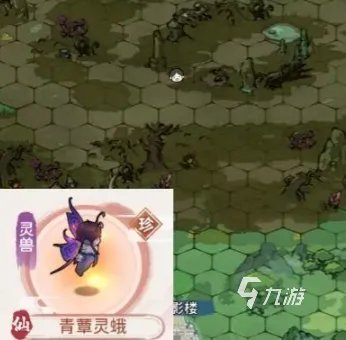 我的门派青蕈灵蝶捕捉位置在哪 青蕈灵蝶捕捉位置解析