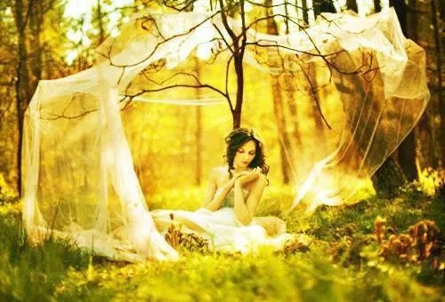 李长安童雅思免费阅读 李长安小说全文阅读