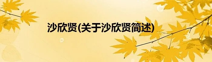 沙欣贤(关于沙欣贤简述)