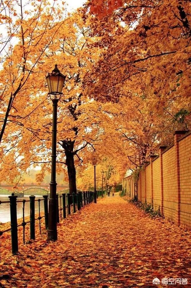 立秋写一首小诗