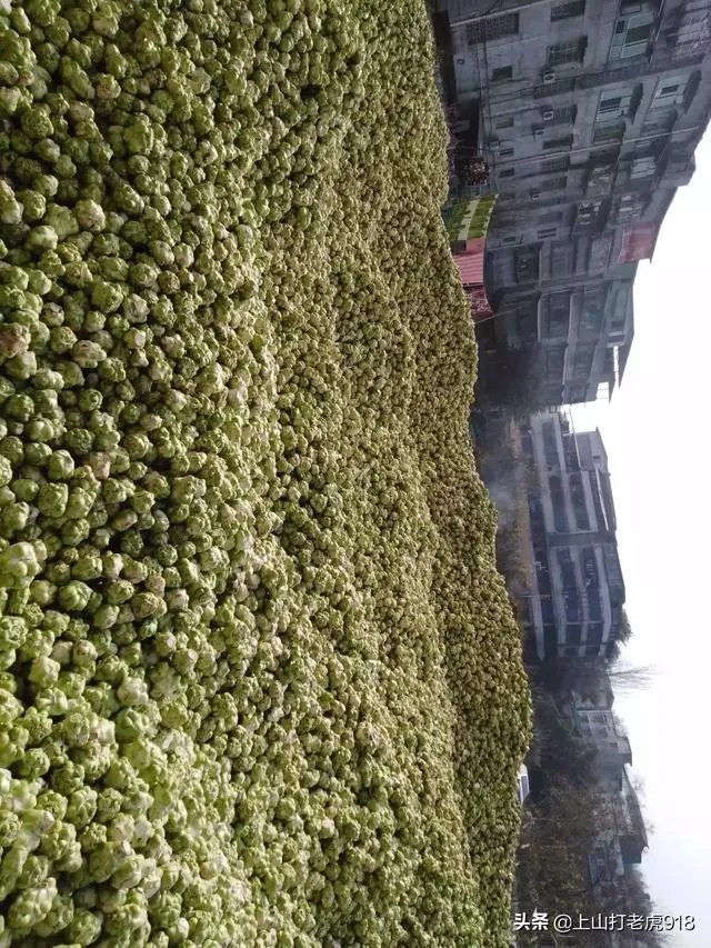 涪陵榨菜什么牌子的好？