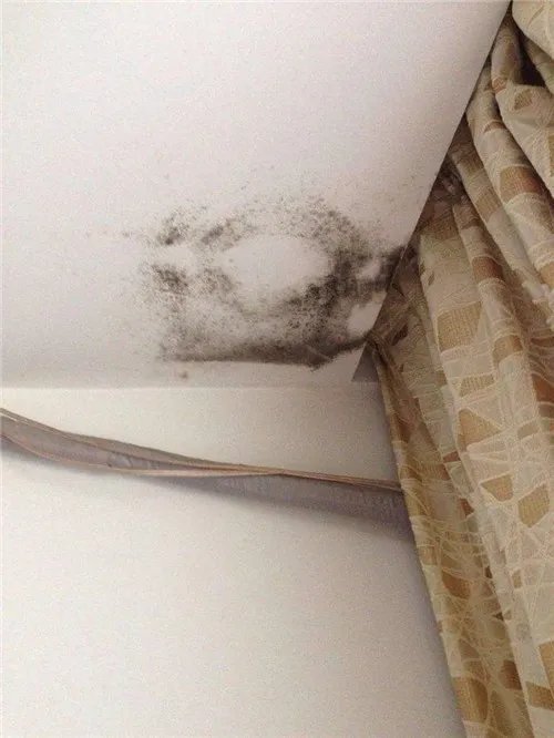 楼上漏水有白色结晶是什么东西