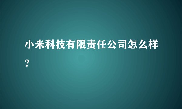 小米科技有限责任公司怎么样？