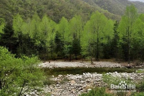 黑河森林公园旅游攻略