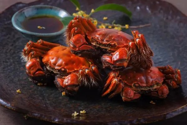 正宗阳澄湖大闸蟹礼卡券团购谁家做的好呀？