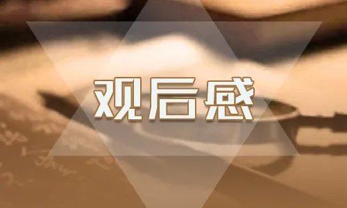 2020从小学先锋长大做先锋直播观后感作文5篇