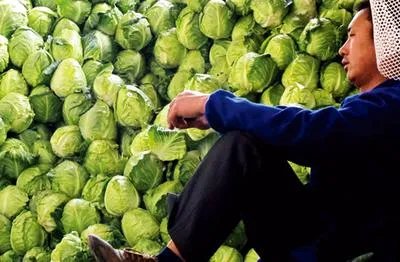 一些农产品滞销的本质是什么?