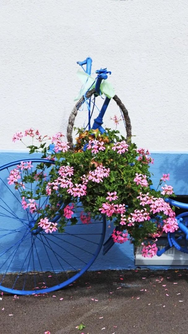 有没有粉色可爱壁纸？