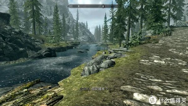 经典永流传—Nintendo 任天堂 Switch《上古卷轴5：天际》游戏 评测