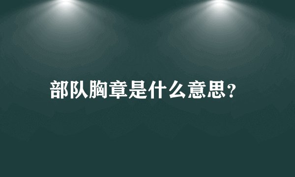 部队胸章是什么意思？