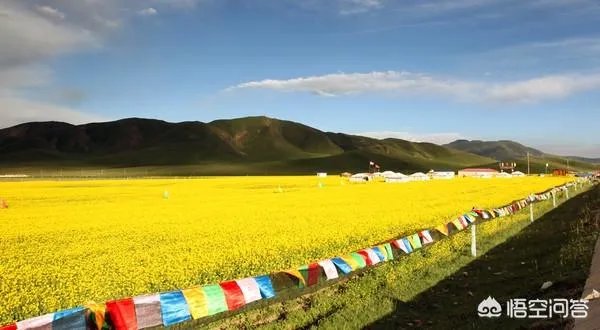 青海门源你去过吗？
