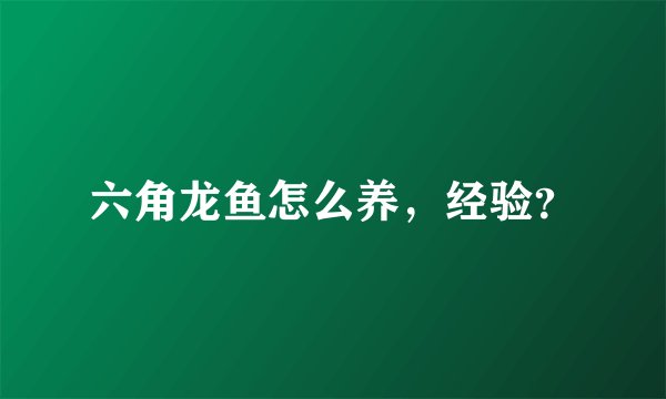 六角龙鱼怎么养，经验？