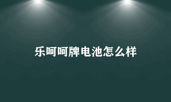 乐呵呵牌电池怎么样