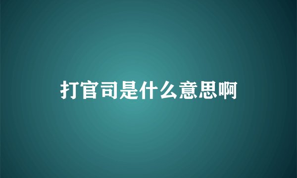 打官司是什么意思啊