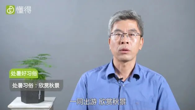 处暑是什么意思