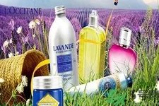 欧舒丹是什么牌子？欧舒丹是什么档次的牌子？