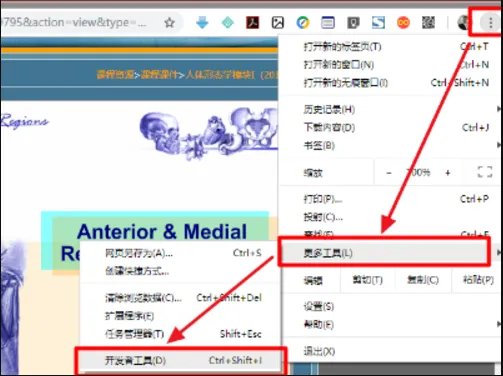 如何下载网页视频