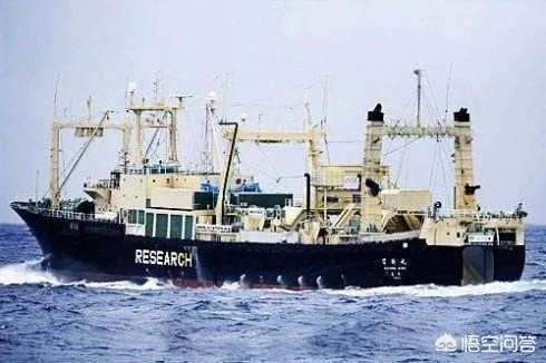 日本退出《全球禁止捕鲸公约》是出于政治目的还只是经济目的？
