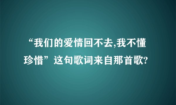 “我们的爱情回不去,我不懂珍惜”这句歌词来自那首歌?