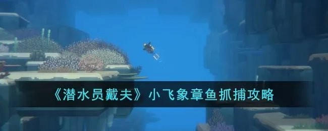 《潜水员戴夫》小飞象章鱼抓捕攻略