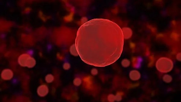 血红蛋白高是什么原因