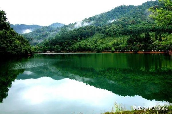 五一去崇义旅游,去玩过的驴友可以说下攻略吗?
