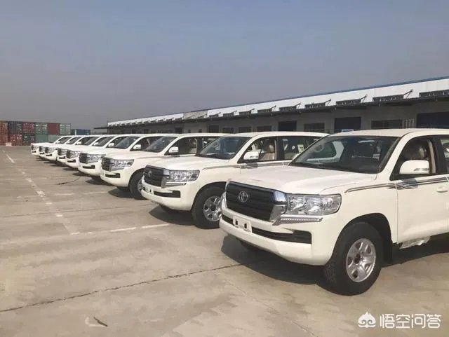 丰田旗下共有几款平行进口车型？