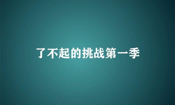 了不起的挑战第一季
