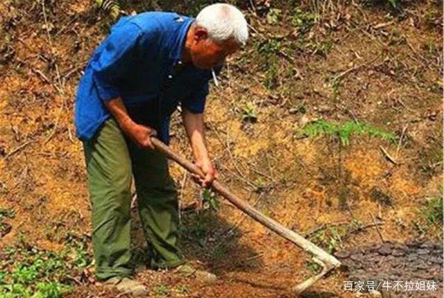 老农翻地挖出一块锈铁，里面藏着怎样一段关于500多箱黄金的往事？