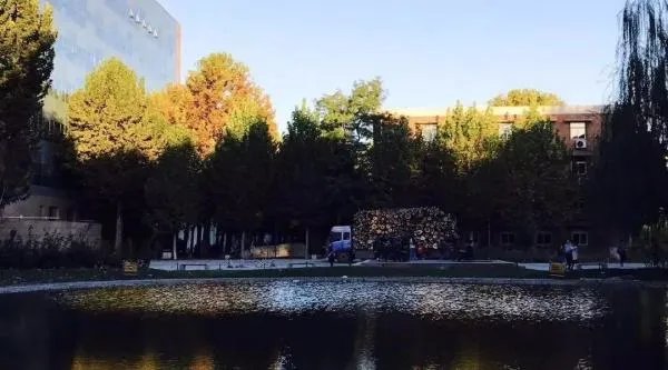 中国传媒大学为什么被称为“海底捞大学”?