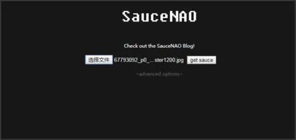 怎样在P站搜索作品ID或者画师?