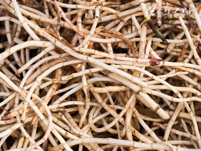 中药美白汤有哪些