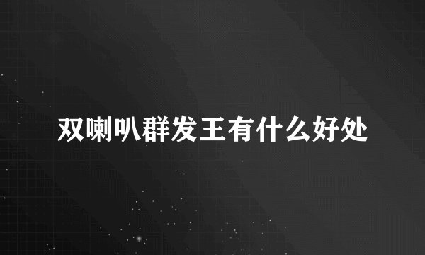 双喇叭群发王有什么好处