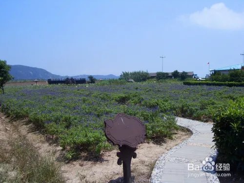 浙江桃花岛有什么好玩的