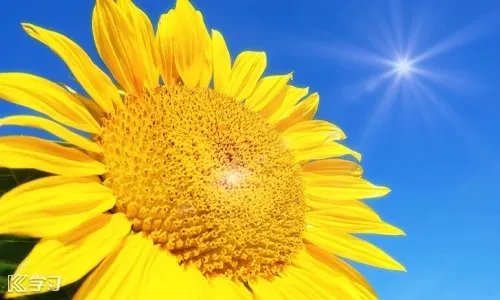 2020年三伏天时间表