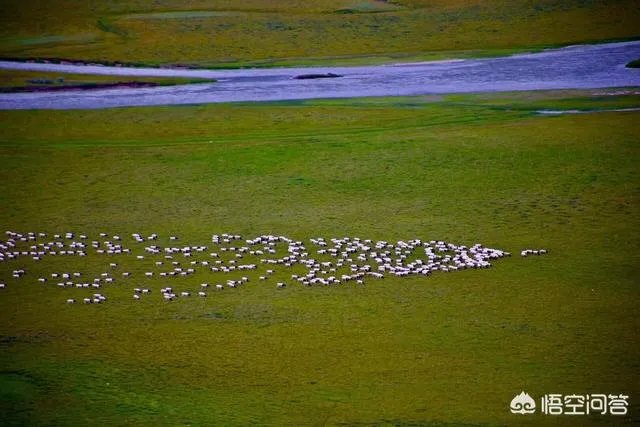 你印象中的大西北还是那个骑骆驼上学的景象吗,现在是什么样子的?