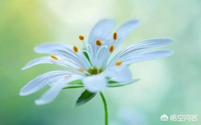 你有哪些喜欢的句子想要分享吗？