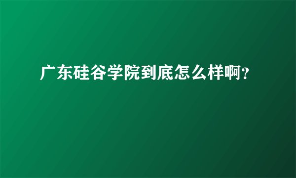 广东硅谷学院到底怎么样啊？