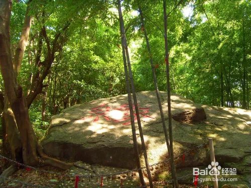 浙江桃花岛有什么好玩的