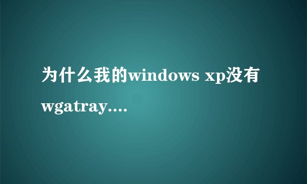 为什么我的windows xp没有wgatray.exe。想删除激活都不行，求大神解答
