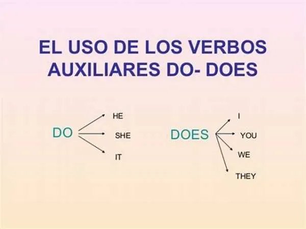 does的用法