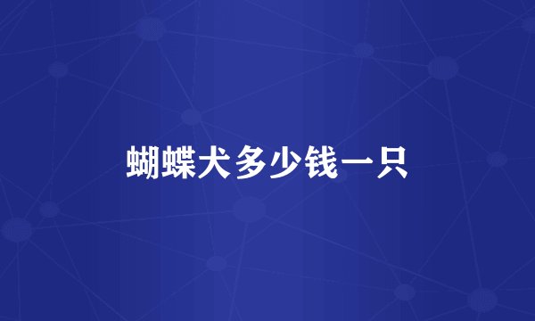 蝴蝶犬多少钱一只