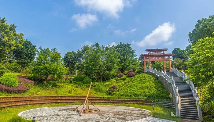 百色是哪个省的城市