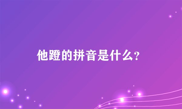 他蹬的拼音是什么？